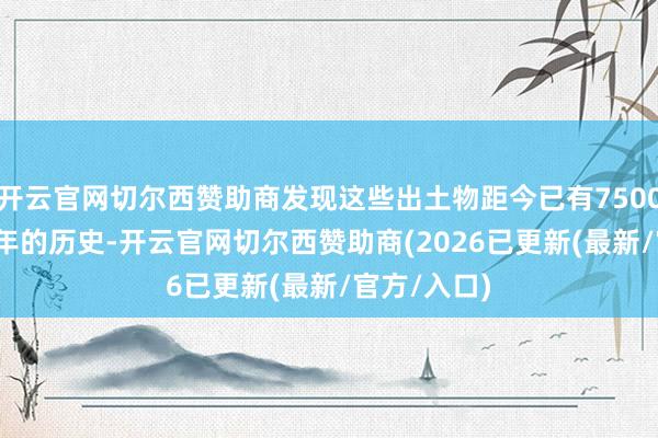 开云官网切尔西赞助商发现这些出土物距今已有7500年至9000年的历史-开云官网切尔西赞助商(2026已更新(最新/官方/入口)