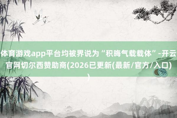 体育游戏app平台均被界说为“积晦气载载体”-开云官网切尔西赞助商(2026已更新(最新/官方/入口)